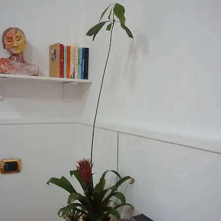 Friendly Creatively Space 로마